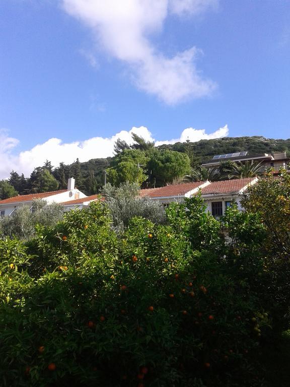 Aggelos Kefalonia Lassi ลาสซี ภายนอก รูปภาพ